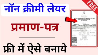 Non Creamy Layer Certificate Online Apply 2024  OBC NCL Caste Certificate kasie banaye [upl. by Wayolle]