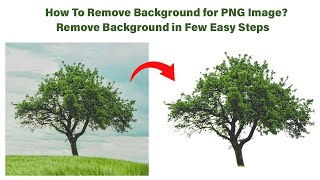 How to Create a PNG Image or Remove Background in Photoshop [upl. by Assilav995]