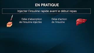 L’insuline endogène et l’insuline exogène [upl. by Marijane]