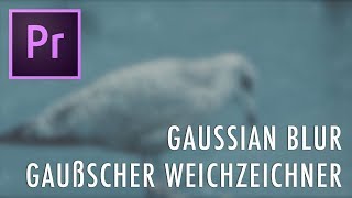 Gaußscher Weichzeichner Gaussian Blur Premiere Pro CC 2017 Tutorial [upl. by Ianaj891]