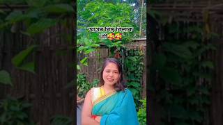 Bohagot Birinar Biya💚💚💚 Assamese Bihu Song💚💚💚💚trending love bihu ytshorts [upl. by Ranitta]