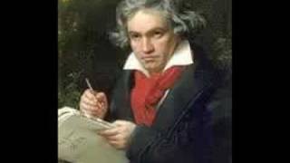 Beethoven Symphony No 7 in A Major Op 92 Allegretto [upl. by Nileak308]