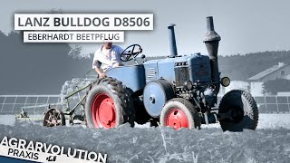 Lanz Bullbog D8506  Eberhardt Beetplough • Ploughing  Agrarvolution Praxis [upl. by Pardoes196]