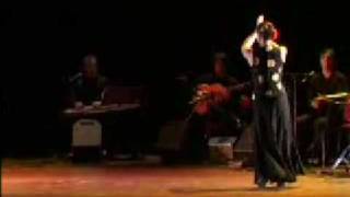 Leidse Schouwburg  FROM SUFI TO FLAMENCO [upl. by Compte]