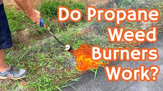 We Tried a PROPANE WEED BURNER To Get Rid of NUISANCE PLANTS  It Wasnt As Great As We Hoped [upl. by Araid]