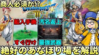 【壊れ装備を先取りしろ】ドラクエ3リメイクの絶好のあなほりスポットについて徹底解説！！これを見るだけで商人を仲間にしたくなるかも【ドラクエ解説】 [upl. by Kurzawa]