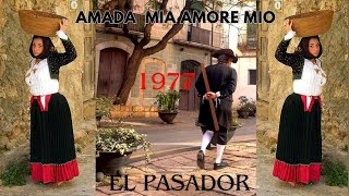 AMADA MIA AMORE MIO 1977 EL PASSADOR [upl. by Eillak]