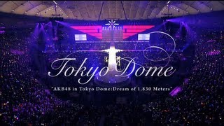 TOKYO DOME～1830mの夢～DVD SPECIAL BOX DIGESTAKB48公式 [upl. by Airla]