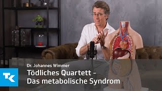 Das metabolische Syndrom I Dr Johannes Wimmer [upl. by Farris998]