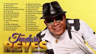 LAS 30 GRANDES CANCIONES DE TEODORO REYES  TEODORO REYES SUS MEJORES ÉXITOS [upl. by Epuladaug365]