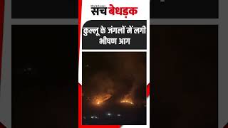 Forest Fire कुल्लू के जंगलों में लगी भीषण आग  Himachal Pradesh Fire  Kullu News [upl. by Onimixam]