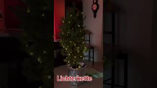 Unser kleiner Weihnachtsbaum ist zum dritten Jahr bei uns🧑🏻‍🎄 Er ist pure Natur selbst gezogen [upl. by Abshier]