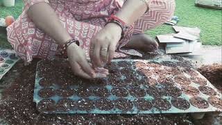 Soil mixture of seeds germination 🌱  Herb seeds  Grow n Feel  Dr Vandana Umrao [upl. by Brittan]