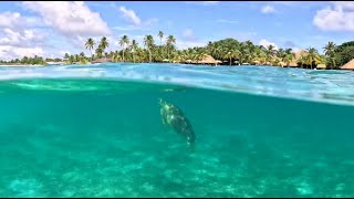 Kuredu Island  Maldives Vacation 2023 4k [upl. by Fina]