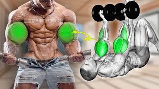 7 Activate Exercises to Get Giant Biceps Size [upl. by Mariken]