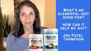 Elemental Diet  How Can it Help My Gut amp How do I Use It [upl. by Neenad]