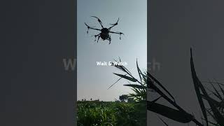 Agri drone sprey for maize 🌽musicgenre agriculture [upl. by Gauntlett]