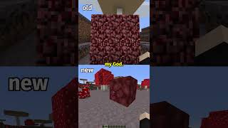 Original or New Blocks in Minecraft minecraftshorts [upl. by Josias]