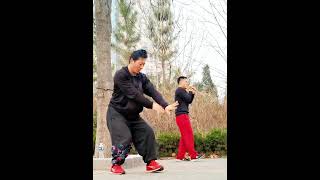 上海卢氏心意六合拳丹田功Xinyi martial arts dantian training [upl. by Olivie]