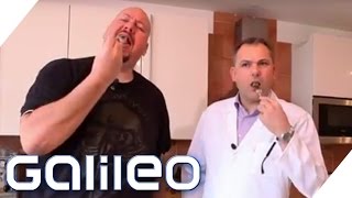 Jumbo Schreiner Der große Nudelcheck  Galileo  ProSieben [upl. by Charmine]