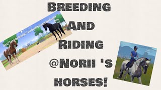 Breeding and Riding Horses [upl. by Einatirb]