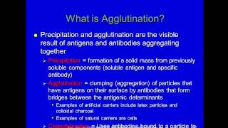 Immunology Module 2 Antigens Antibodies and Agglutination [upl. by Massarelli]