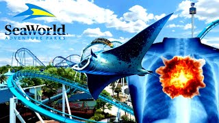 SEAWORLD 1st time review  Orlando the full guide Ep12 [upl. by Traver]