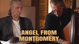 Angel From Montgomery  John Prine Cover by Wollmann amp Brauner [upl. by Aisena982]