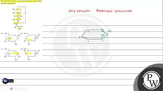 For the below given cyclic hemiacetal X the correct pyranose structure is X a c d [upl. by Rossi]