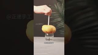 物理小实验，带你探索神奇的科学世界！ 科普 science cute video funny [upl. by Ettenad]