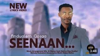 Andualem gosa dammee to new oromo music 2024 [upl. by Barbette943]