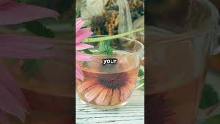 Echinacea Boost Your Immune System Naturally [upl. by Andrel]