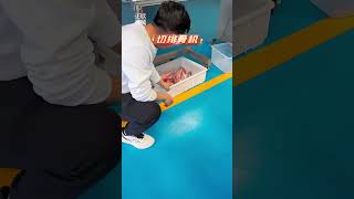 Zhengou Weighted Rib Cutting Machine [upl. by Yxor]