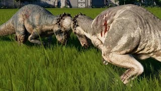 Jurassic World Evolution  Pachycephalosaurus vs Pachycephalosaurus 1080p 60FPS [upl. by Ellehcan]