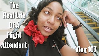 The quotReal Lifequot of a Flight Attendant  Vlog 107  EASIEST TRIPS EVER [upl. by Eetnuahs]