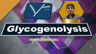 Glycogenolysis I Animation I Carbohydrate metabolism [upl. by Ainnet]