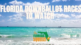 Florida downballot races to watch [upl. by Lehcear652]