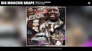 Big Moochie Grape  Trap A Lil Harder Official Audio [upl. by Esital]