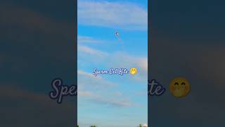 Sperm Cell Shape Kite 🫢🫣 youtubeshorts kiteflying shape [upl. by Atihcnoc]