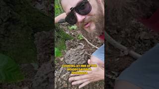 Hen of the woods found in Central Pennsylvania Grifola frondosa [upl. by Anwahsiek]