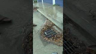 Cleaning Culvert Drain Rain Water unclog remove drain rainwater shorts [upl. by Eugenio742]