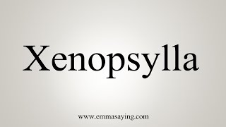 How To Say Xenopsylla [upl. by Ivan]