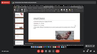 CLASE 4  OBSTETRICIA  HORMONAS PLACENTARIAS [upl. by Gass202]