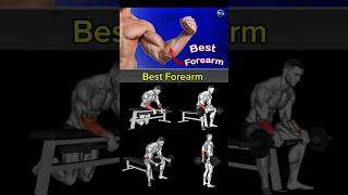 Best Forearm workout at home fitness motivation forearms shortsfeed shorts [upl. by Llevad]