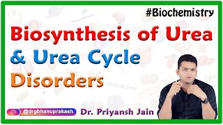 Biosynthesis Of Urea Urea cycle Steps Site Regulation and Urea cycle disorders  USMLE Step 1 [upl. by Clarisa]