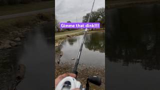 Here dinky dinky fishing bass dink texasrig crawfish [upl. by Ellezig]