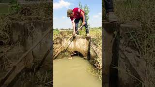 Remove Trash Clogged Culvert Drain unclog remove shortsvideo water flood sorts [upl. by Arualana]