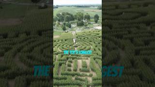 Top 5 Longest Mazes in the World maze longest shorts [upl. by Aniratac]