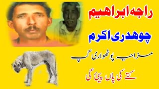 Raja Ibrahim amp Ch Akram gujjar Funny Pothwari Gapaan  Raja Ibrahim Old Pothwari Sher [upl. by Livesay]