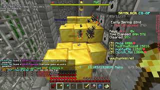 Flying in Hypixel Dungeons TheMisterEpic response [upl. by Khalsa]